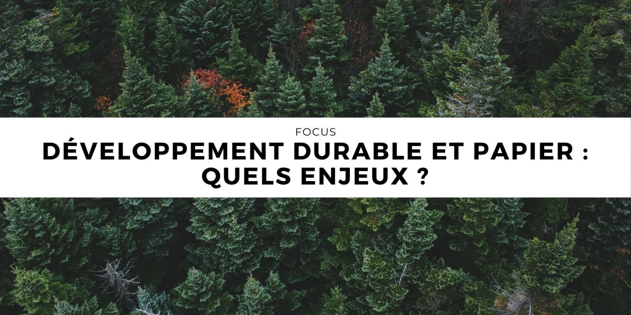 Développement durable et papier : quels enjeux ?